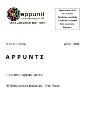 Ruggiero Gabriele - Chimica Industriale - Prof. Pirone