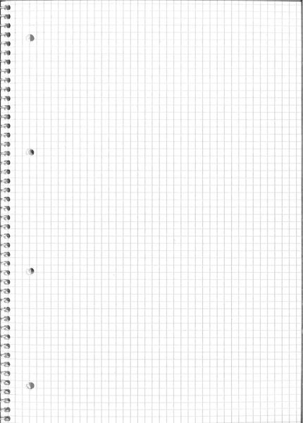 Quaderno a quadretti 5mm ape: Ideale per la seconda e la terza elementare |  100 pagine maxi formato a4 | Con margini (Quaderni & Agende)